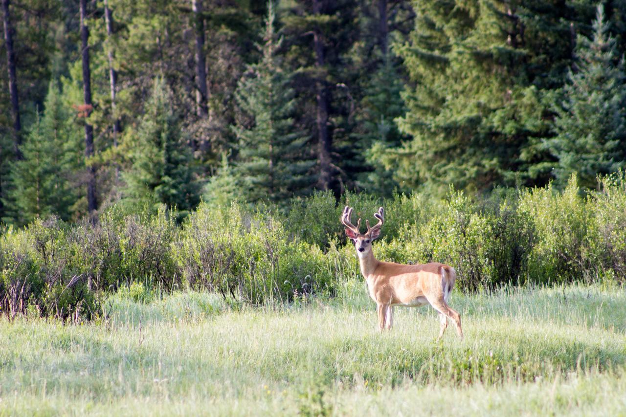Rock Lake Lodge Rock Lake Lodge Provincial Park Eksteriør billede